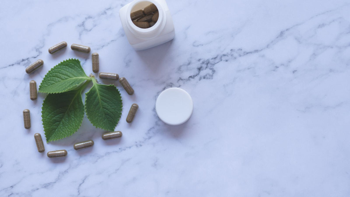 A flat lay of herbal capsules and supplements